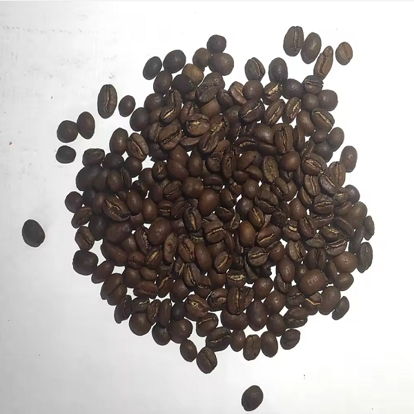 Café Cult Brasil Fazenda Lagoa Premium Quality 100% Arábica